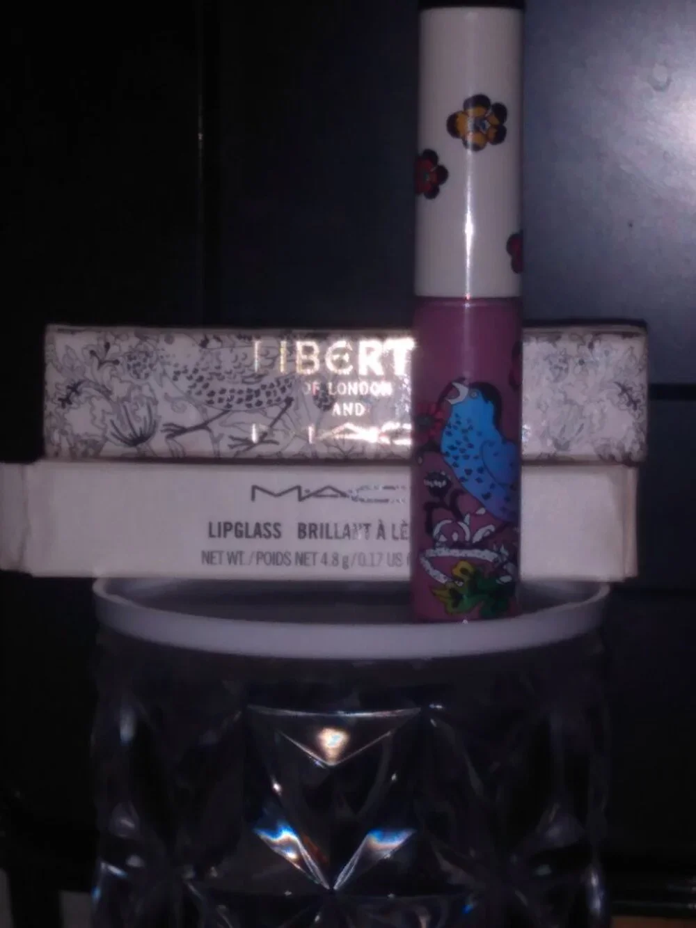 Discontinued MAC Lipgloss in 